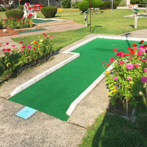 Raised Green